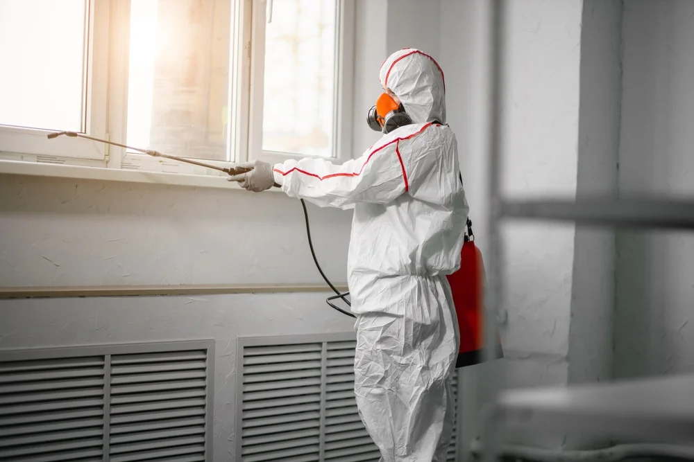 Professional mold remediation services in Louise, TX